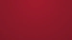 Boil Guard - 25.5cm - Medium - Apple Green