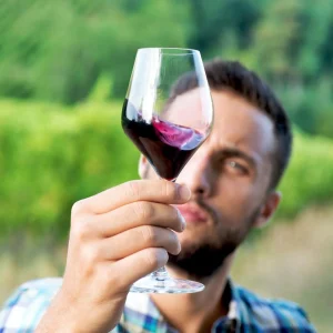 Bordeaux Lead-Free Crystal Glasses - Set of 2