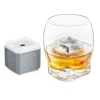 Colossal Ice Cube Whiskey Glass