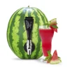 Deluxe Watermelon Keg Tapping Kit