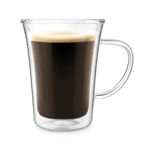 10 oz Double-Wall Insulated Glass Mug