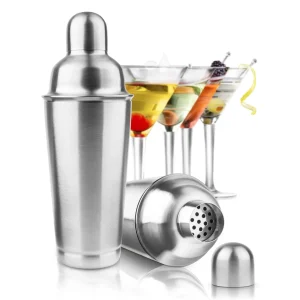 Professional Cocktail Shaker