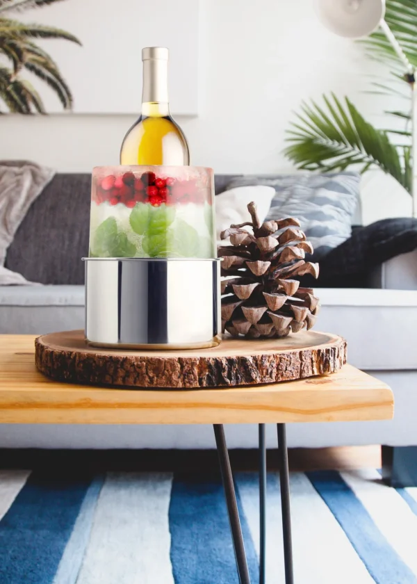 Stainless Steel Ice Bottle Chiller