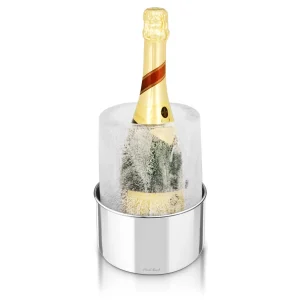Stainless Steel Ice Bottle Chiller