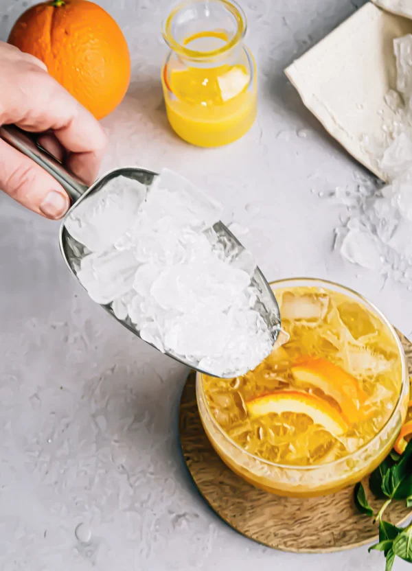 Stainless Steel Ice Scoop