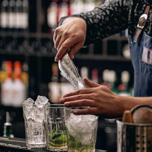 Stainless Steel Ice Scoop