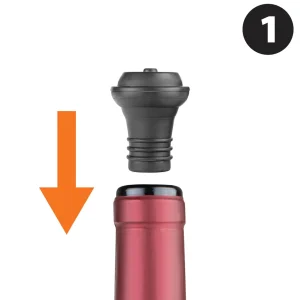 Wine Bottle Pump with Two Stoppers